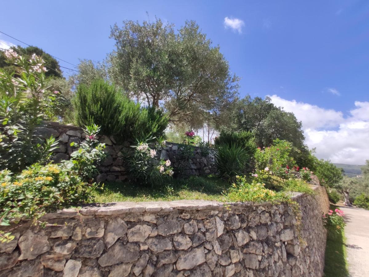 Irida Appartement Apolpaina Buitenkant foto